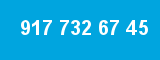917 732 67 45